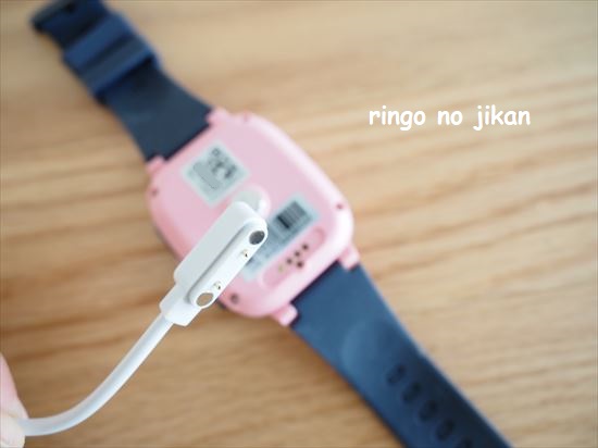 f:id:ringo_co:20210413131643j:plain
