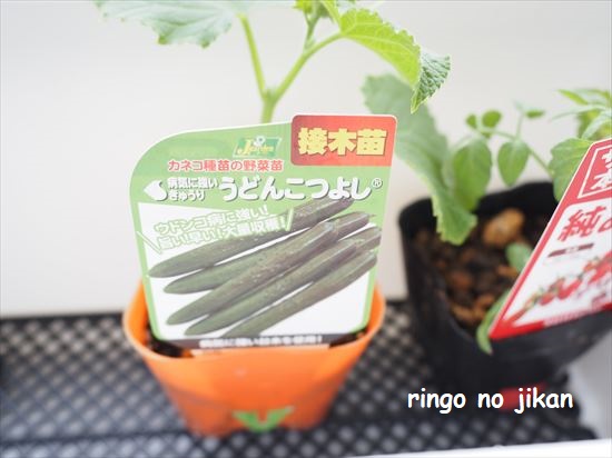 f:id:ringo_co:20210503002527j:plain