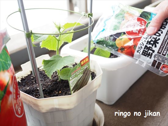 f:id:ringo_co:20210505215619j:plain