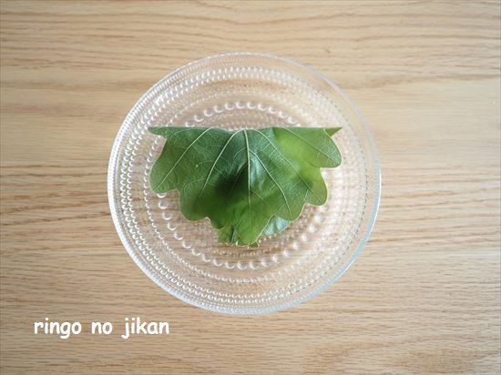 f:id:ringo_co:20210505222211j:plain