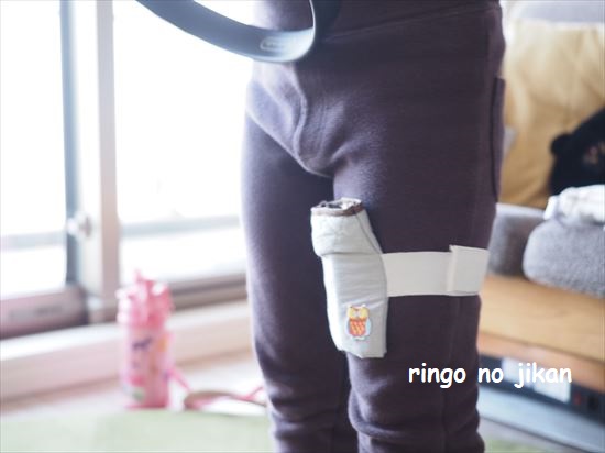 f:id:ringo_co:20210508232759j:plain