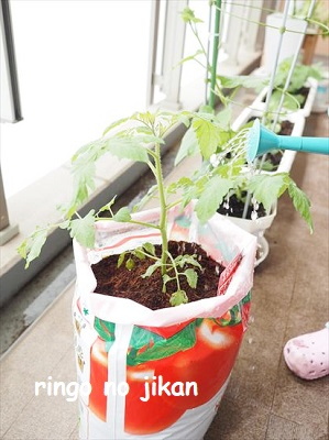 f:id:ringo_co:20210517134148j:plain