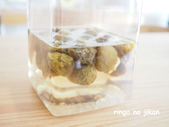 f:id:ringo_co:20210616125148j:plain