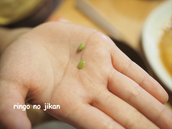 f:id:ringo_co:20210623134311j:plain