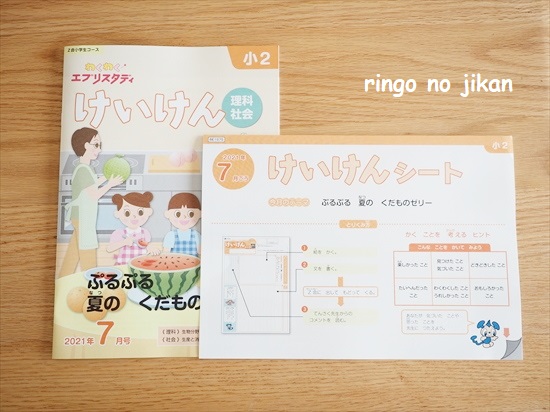 今だけ値下げ❣️Z会 小3 エブリスタディ 2教科理科と社会 1年分 Z会