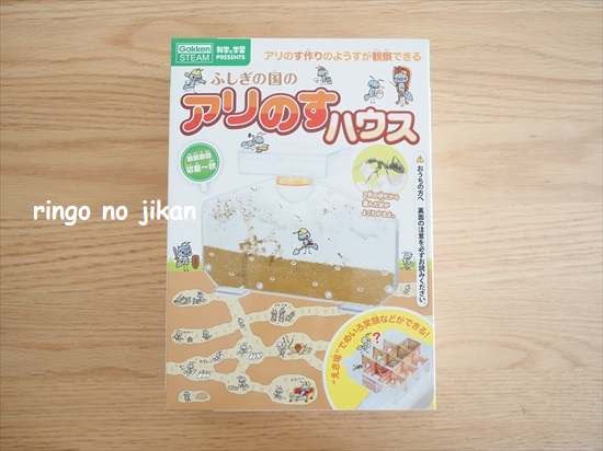 f:id:ringo_co:20210801215200j:plain