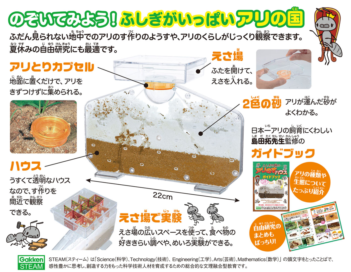 f:id:ringo_co:20210801215346p:plain