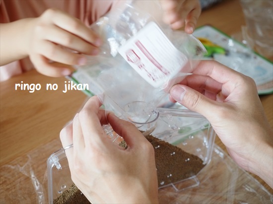 f:id:ringo_co:20210801215457j:plain