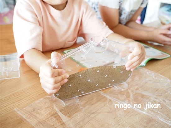 f:id:ringo_co:20210801215511j:plain