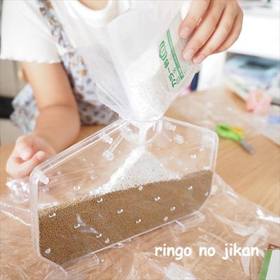 f:id:ringo_co:20210801215532j:plain