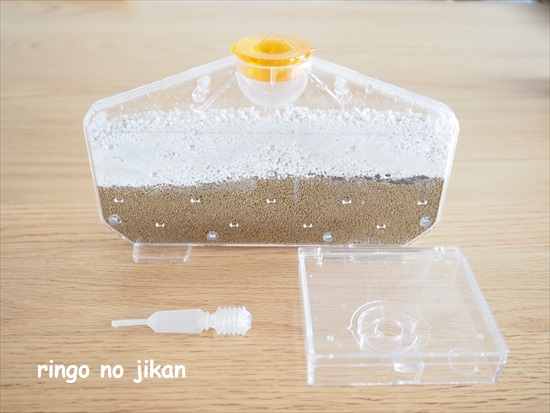 f:id:ringo_co:20210801215610j:plain