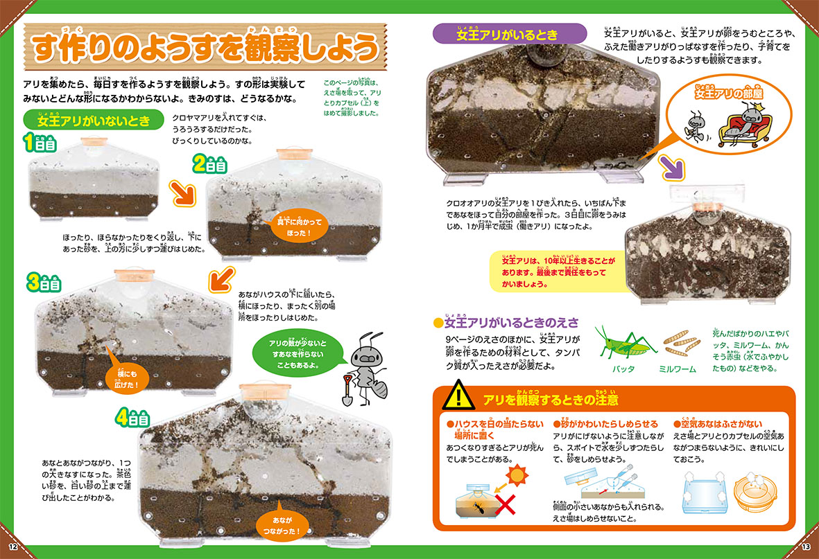 f:id:ringo_co:20210801215932p:plain