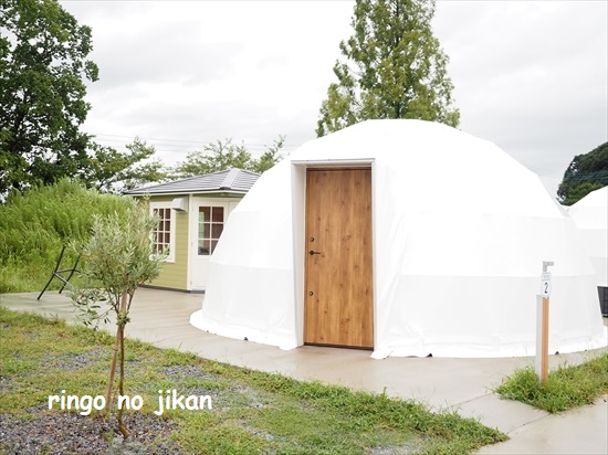 f:id:ringo_co:20210814013703j:plain