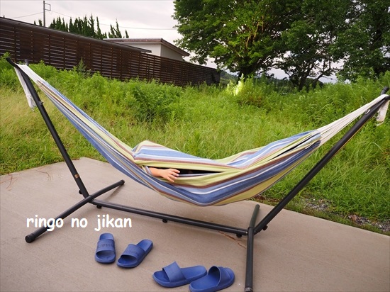 f:id:ringo_co:20210814173150j:plain