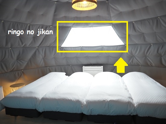 f:id:ringo_co:20210814231435j:plain