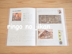 f:id:ringo_co:20210826230150j:plain