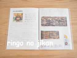 f:id:ringo_co:20210826230156j:plain