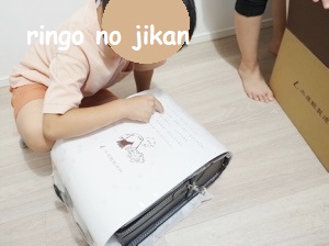 f:id:ringo_co:20211005123802j:plain
