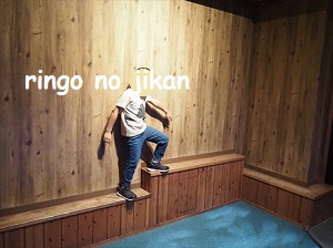 f:id:ringo_co:20211014232503j:plain