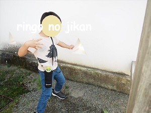 f:id:ringo_co:20211015000642j:plain