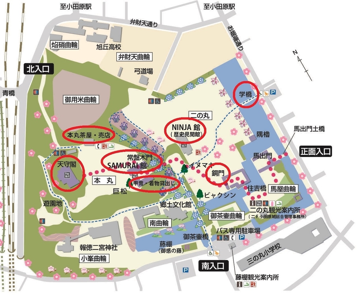 f:id:ringo_co:20211015105333j:plain