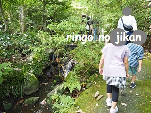 f:id:ringo_co:20211019144213j:plain