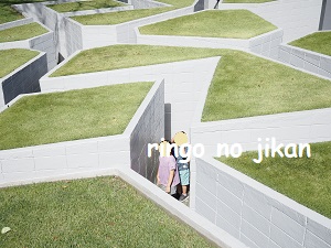 f:id:ringo_co:20211020102657j:plain