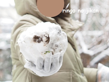f:id:ringo_co:20220108002901j:plain