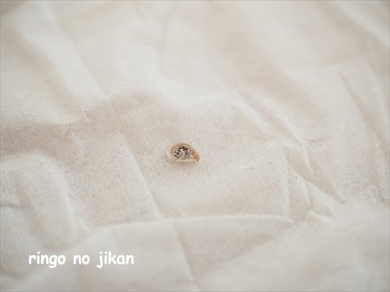 f:id:ringo_co:20220117114541j:plain