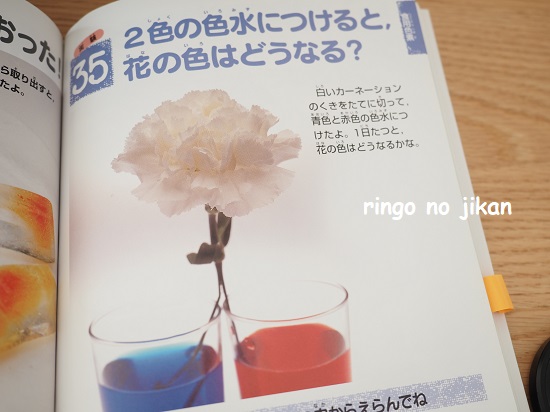 f:id:ringo_co:20220201115738j:plain