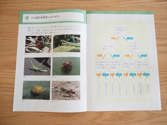 f:id:ringo_co:20220219102256j:plain