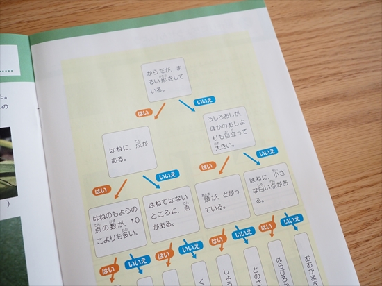 f:id:ringo_co:20220219102315j:plain