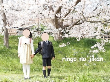 f:id:ringo_co:20220403231211j:plain