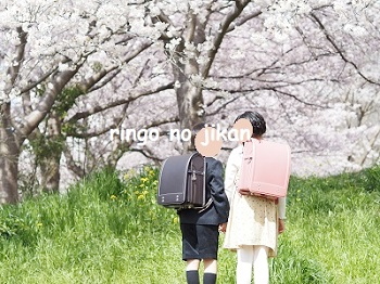 f:id:ringo_co:20220403231246j:plain