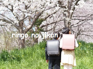 f:id:ringo_co:20220403231939j:plain