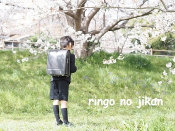 f:id:ringo_co:20220404220315j:plain