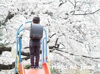 f:id:ringo_co:20220404220401j:plain