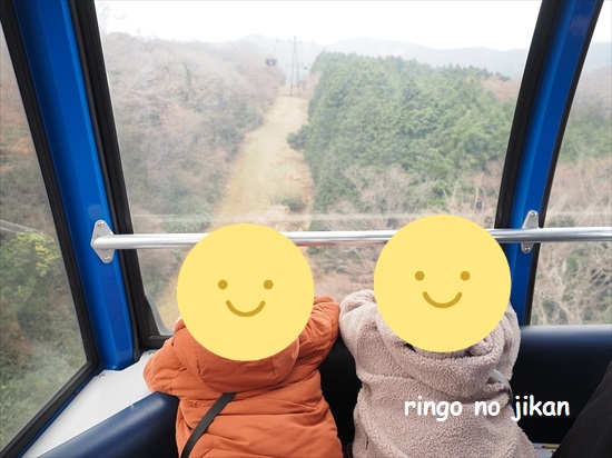 f:id:ringo_co:20220415124839j:plain