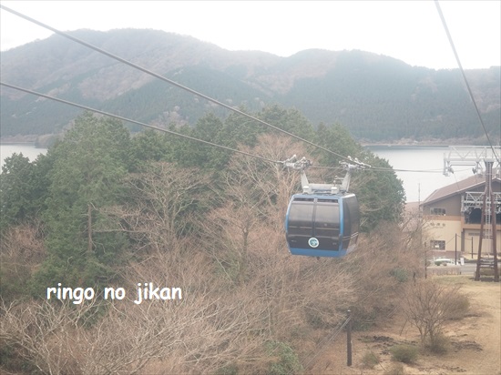 f:id:ringo_co:20220415130221j:plain