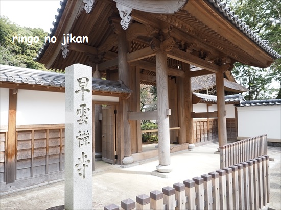 f:id:ringo_co:20220418143310j:plain