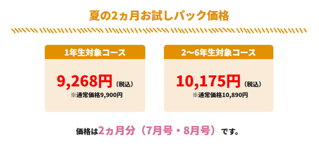 ブンブンどりむ応用コース一年間分 小学生の作文力をアップする通信教育講座「ブンブンどりむ
