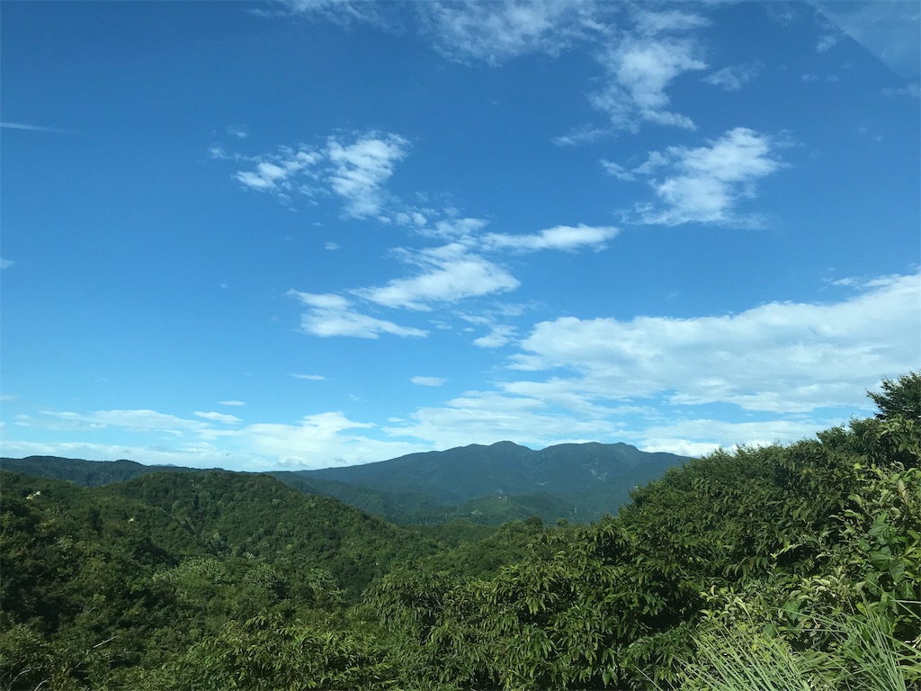 f:id:ringo_rin_rin:20190821063847j:image f:id:ringo_rin_rin:20190821063847j:image
