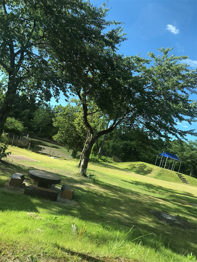 f:id:ringo_rin_rin:20190821064209j:image f:id:ringo_rin_rin:20190821064209j:image