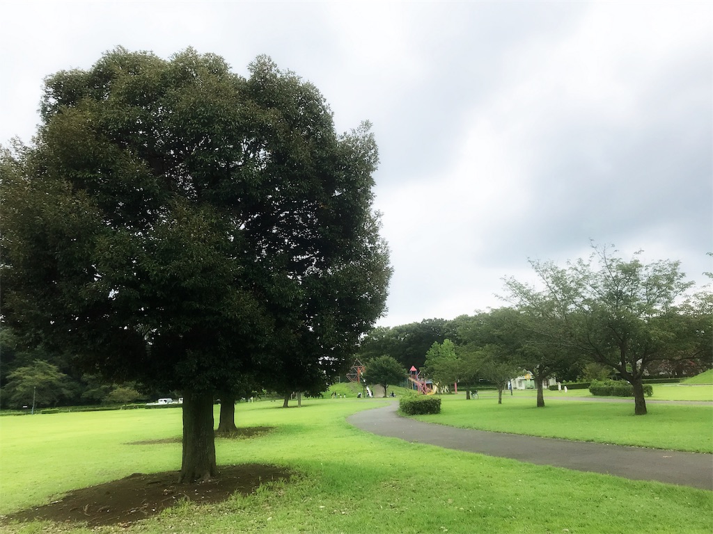 f:id:ringo_rin_rin:20190823063326j:image f:id:ringo_rin_rin:20190823063326j:image