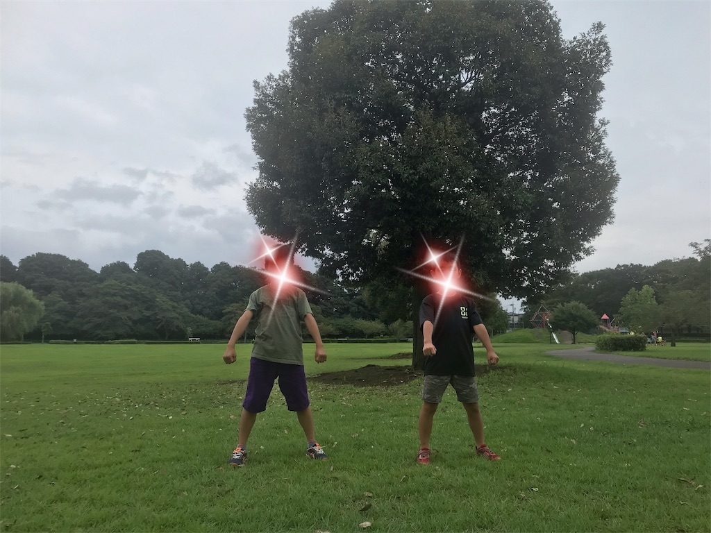 f:id:ringo_rin_rin:20190823063717j:image f:id:ringo_rin_rin:20190823063717j:image
