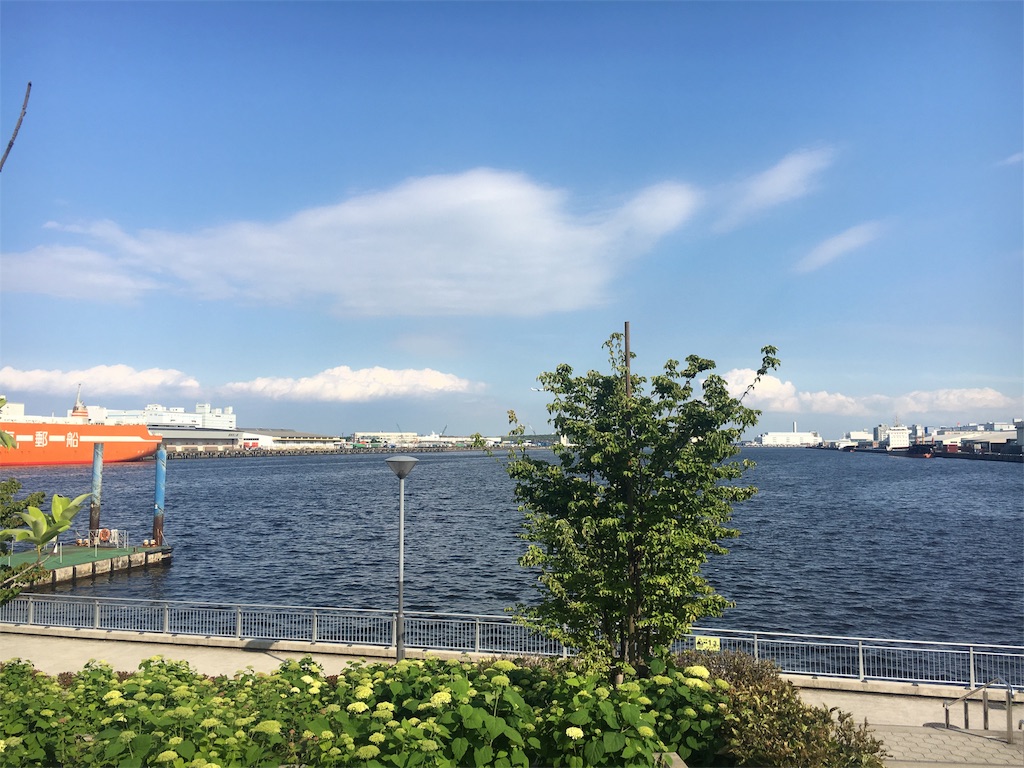 f:id:ringoapplel:20170531223556j:image f:id:ringoapplel:20170531223556j:image