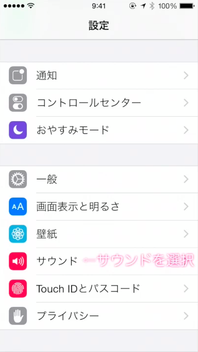 iPhoneの設定画面