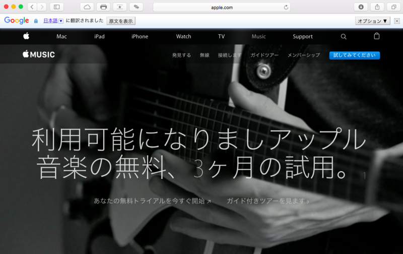 Website翻訳後