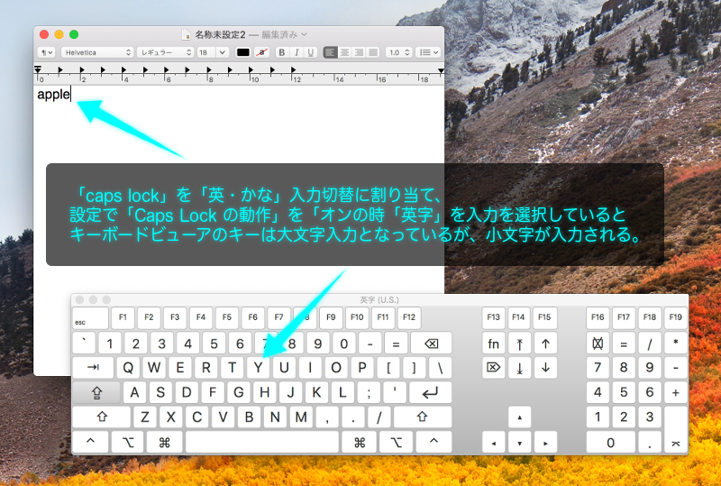 テキストエディタに入力した場合