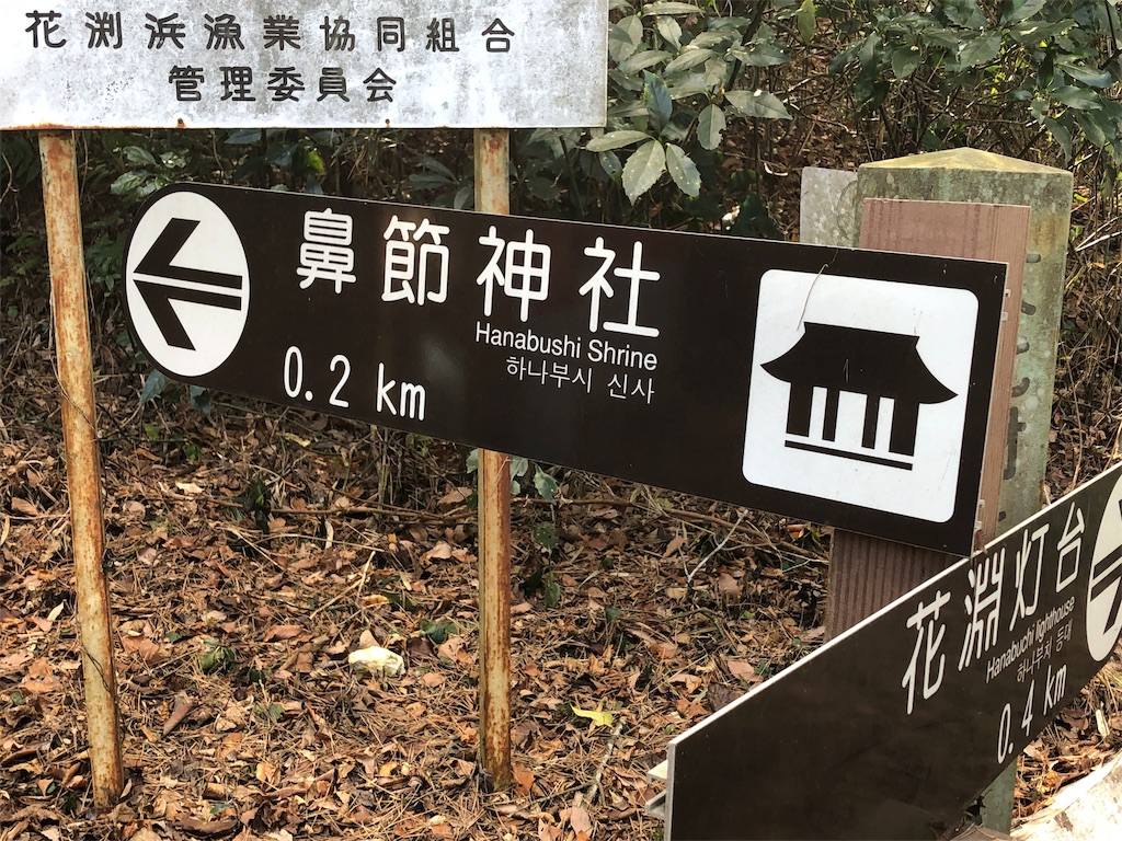 f:id:ringoexplosion:20190211161203j:image